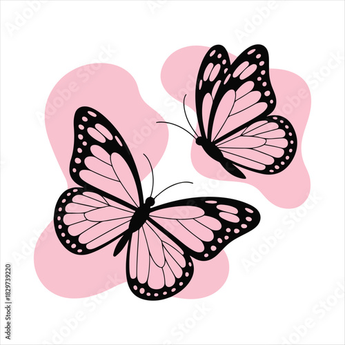 Isolated decorative butterflies, butterfly and moth. Floral insect, exotic dragon fly. Spring flying insects, summer cartoon racy garden animals vector collection