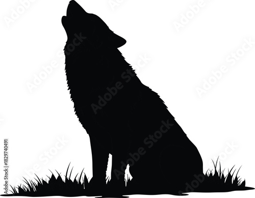 Silhouette of howling wolf sitting on grass, wild animal in nature, lone predator calling out, wildlife illustration on white background