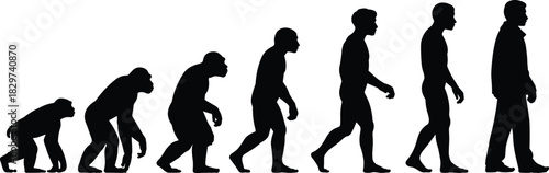 Silhouette of human evolution from ape to modern human, stages of evolution, natural progression, human development, biological transformation, ancestry and growth