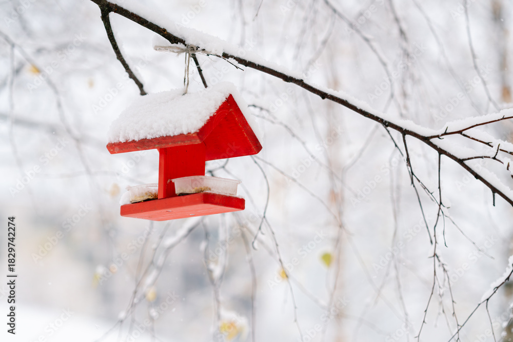 Naklejka premium Red bird feeder hangs from a branch in a winter park. It's a snowy winter day. Helping the birds