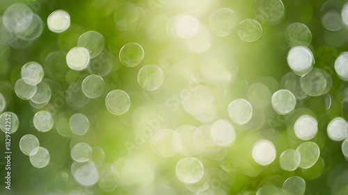 green bokeh background