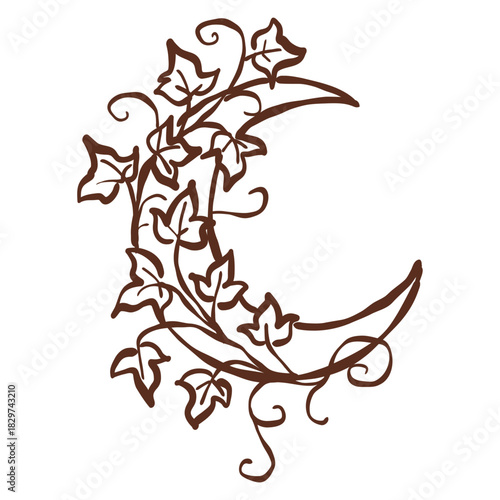 Enchanted crescent moon wrapped in delicate ivy line art illustration with elegant flowing vines perfect for mystical winter nights and dreamy seasonal designs
