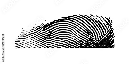 Unique fingerprint impression on textured surface showcases intr.