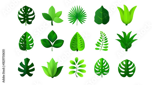 Tropical leaf collection green foliage botanical illustration nature element jungle plant decorative design isolated on transparent background fresh and vibrant style