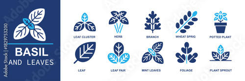 Basil and leaves icon set. Containing leaf cluster, herb, branch, wheat sprig, potted plant, leaf, leaf pair, mint leaves, foliage, plant sprout for gardening, labels and more. Solid vector icons eco