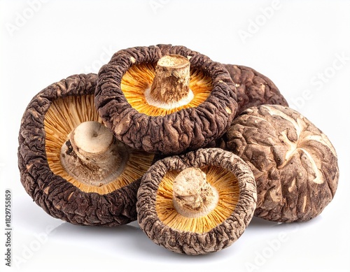 Shiitake Mushroom on a white background