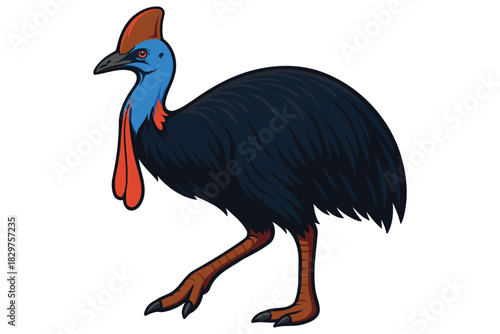 A striking southern cassowary bird with vibrant blue neck and red wattles stands on a white background showcasing its unique plumage and powerful legs