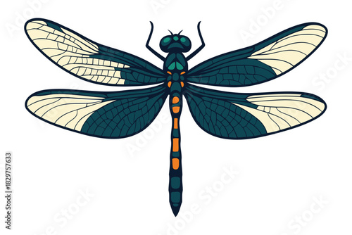 Detailed illustration of a striking black and white dragonfly with iridescent blue eyes and segmented body against a clean white background