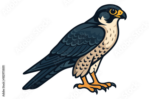 Detailed illustration of a majestic peregrine falcon perched with sharp talons and piercing eyes against a clean white background