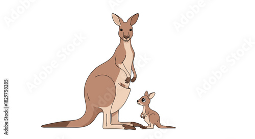 A delightful cartoon illustration of an adult kangaroo standing with its small joey, capturing a sweet family moment on a white background.