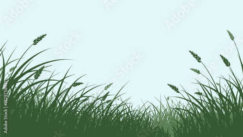 Lush green grass and wild plants with seed heads against a clear light blue sky, creating a serene natural background.