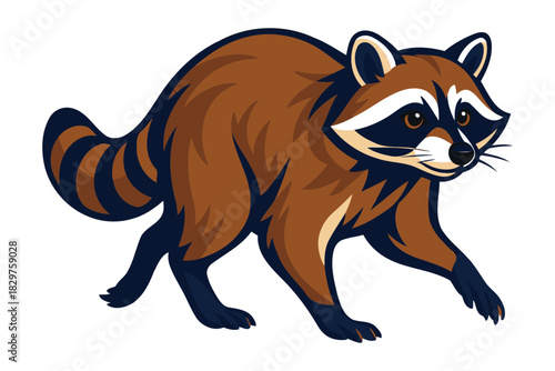 A detailed illustration of a curious raccoon with its distinctive masked face and ringed tail walking on a white background