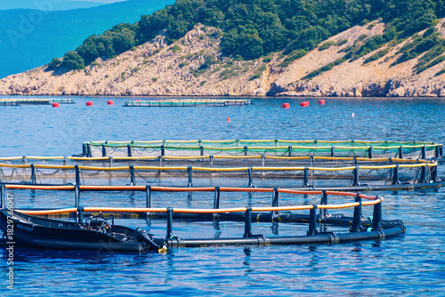 Coastal aquaculture pens in clear blue sea with scenic hillside background