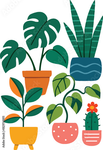 Small potted houseplants and seedlings in flowerpots for growth and gardening, isolated object