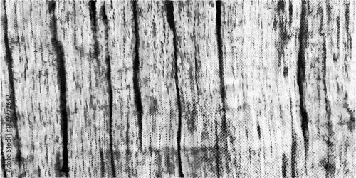 Abstract Black-and-White Textured Lines