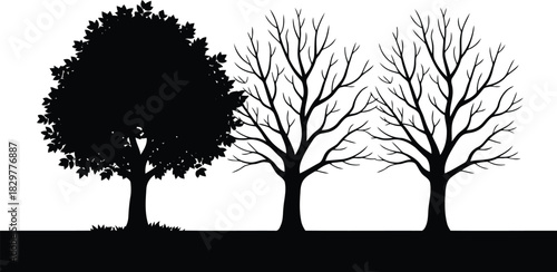 A row of three distinct deciduous tree silhouettes standing on a horizon line