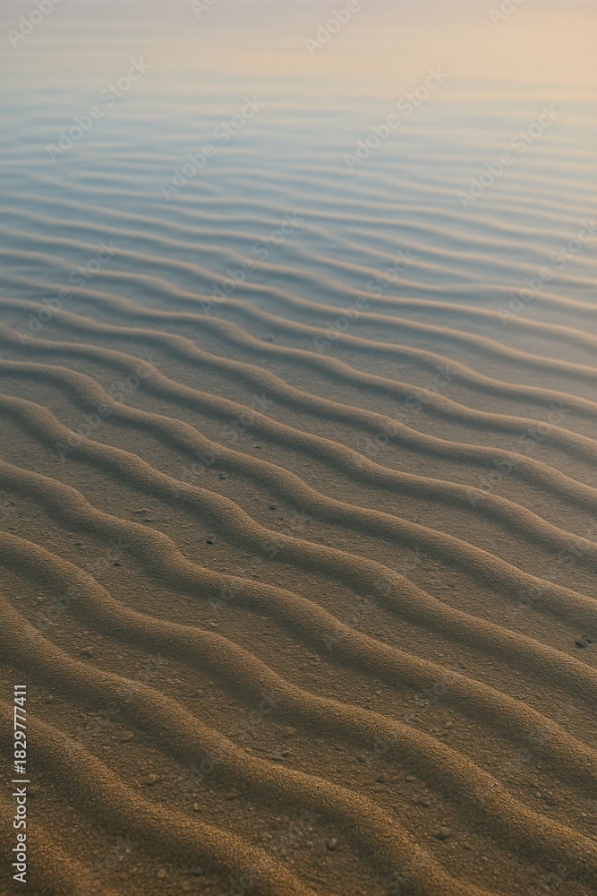 Obraz premium Endless ripples across a sand sheet