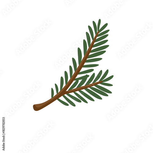 Small Simple Green Spruce Branch