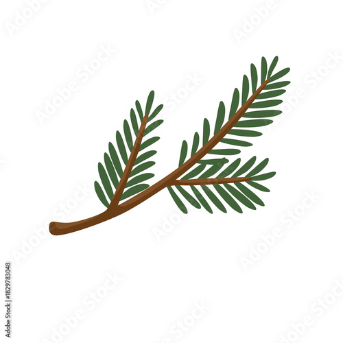 Small Upright Green Spruce Branch