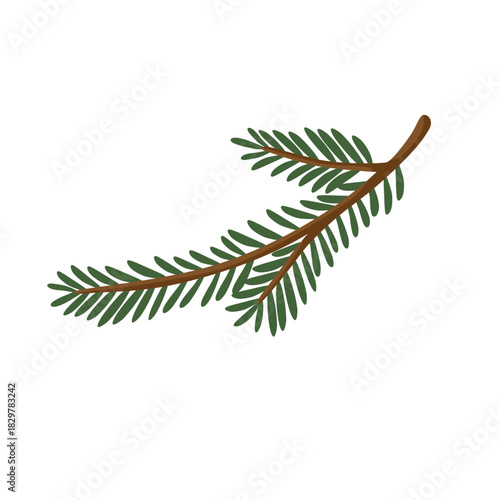 Single Curved Green Spruce Branch