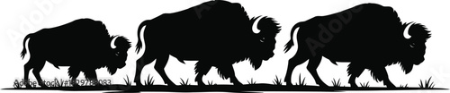 Four powerful American bison silhouettes are walking in a line across a grassy landscape