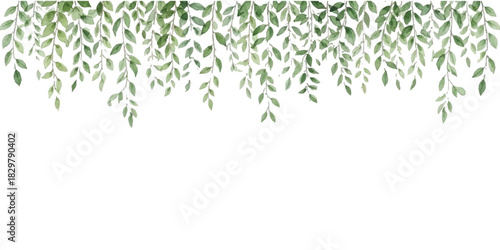 Watercolor green leaves hanging down as a top border on white isolated on white background