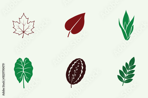 Botanical illustration six different leaf shapes in green and red hues