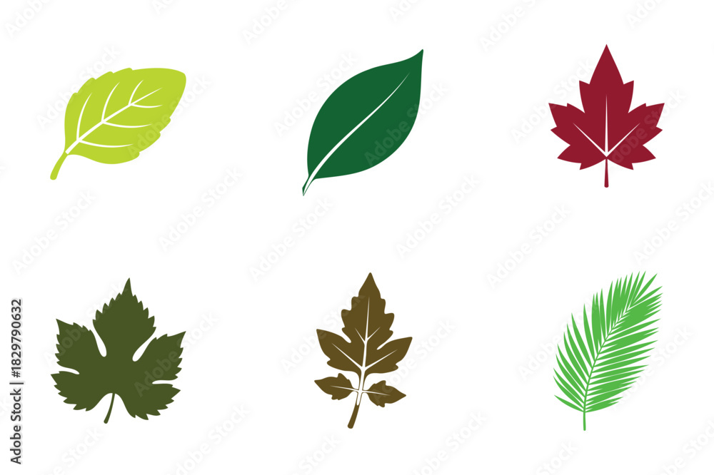Obraz premium Collection of six different leaf illustrations in varying colors and shapes