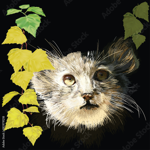 manul portrait in leaves isolated on black background