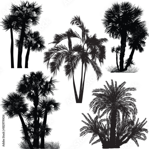 five palm groups silhouettes on white
