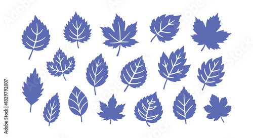 Collection of sketchy leaves. Doodle design features

