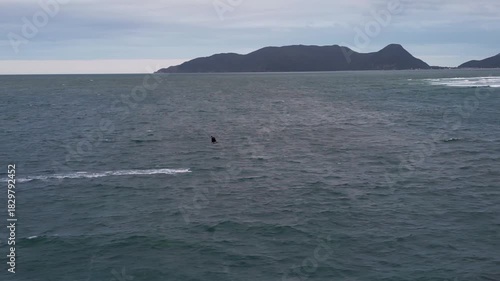 A kitesurfer streaks across the open ocean, leaving a white trail that contrasts the dark, wind-stirred waters.