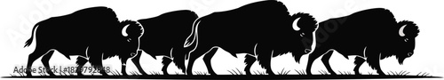 Four powerful American bison silhouettes are walking in a line across a grassy landscape