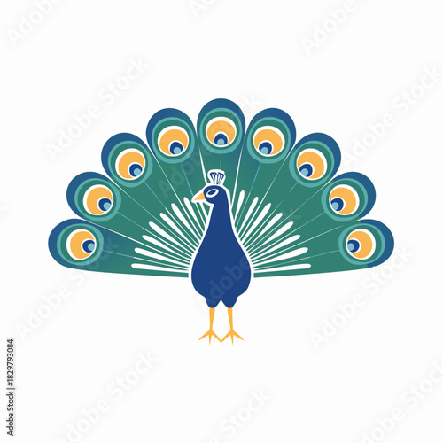 Elegant peacock illustration showcasing vibrant plumage and ornate feather design