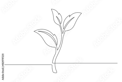 Continuous line drawing of plant growing one line drawing nature agriculture