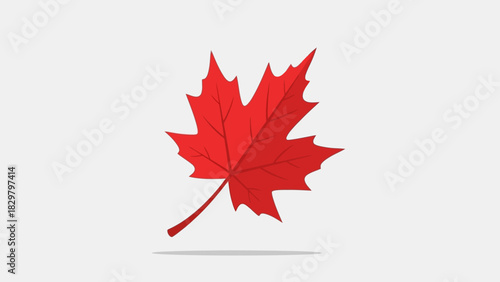 A vibrant red maple leaf, a symbol of Canada, is depicted against a clean, light gray background.