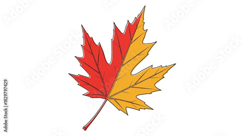 A vibrant maple leaf, split vertically, showcasing red and yellow autumn colors.