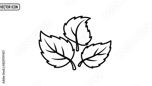 A simple black and white line drawing of three stylized leaves clustered together.