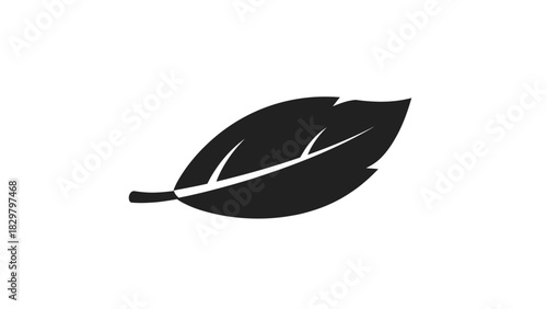 Simple black silhouette of a single leaf with veins on a white background, representing nature and growth.