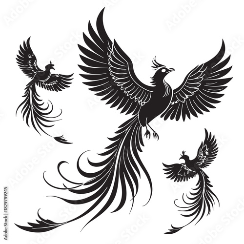 Black phoenixes Silhouette Vector, High Quality Illustration on White Background