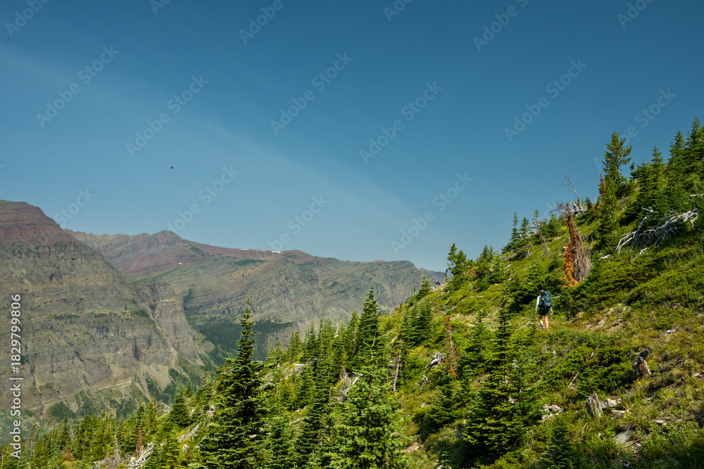 Naklejka premium Backpacker Hikes Along Open Trail In Backcountry Of Glacier