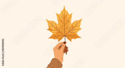 A person's hand wearing a cozy brown sweater holds up a single yellow maple leaf against a plain background for autumn season.