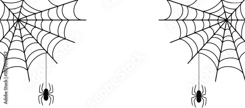 Two intricate spider webs with spiders hanging symmetrically on a clean white background