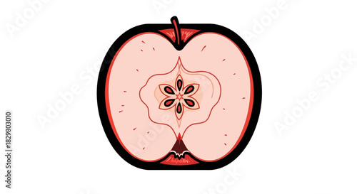 Stylized Cross-Section of a Red Apple with Visible Seeds