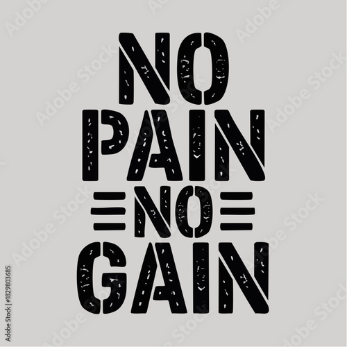 A motivational phrase 'NO PAIN NO GAIN' in a bold, distressed stencil font on a light grey background, symbolizing effort and reward.