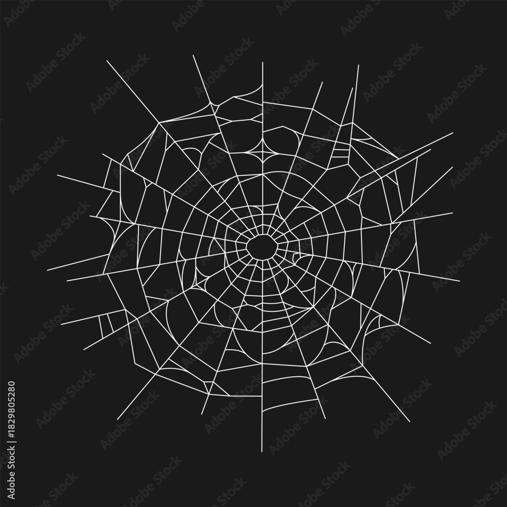 Obraz premium Hand drawn spider web on black background. Vector illustration
