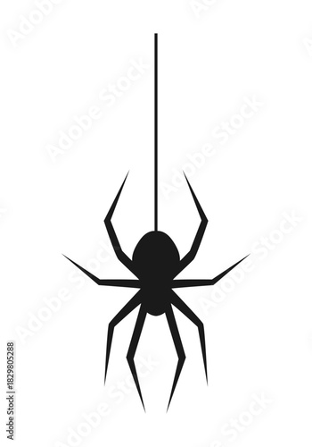 Silhouette of a hanging spider isolated on white background. Vector illustration