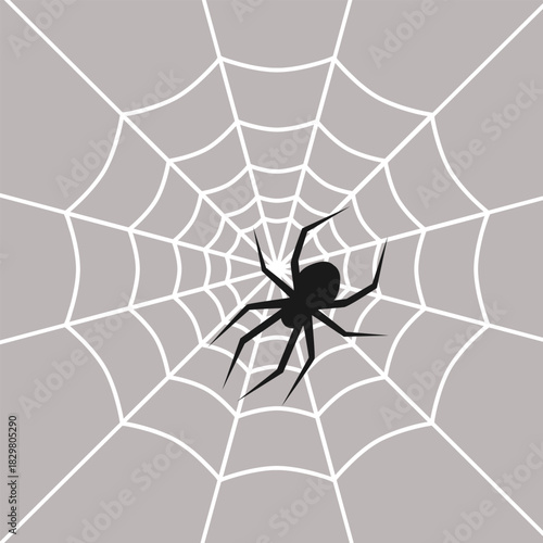 Black spider on a web background. Vector illustration