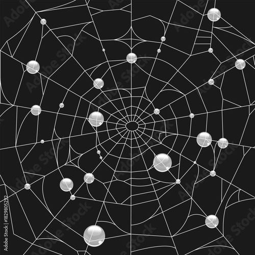 Spider web with water droplets on it. Spider web background. Vector illustration