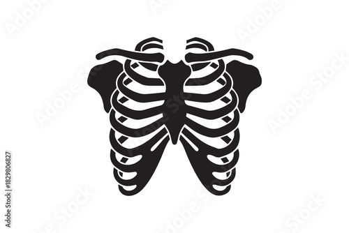 Human rib cage anatomy silhouette vector Black skeleton chest bone structure